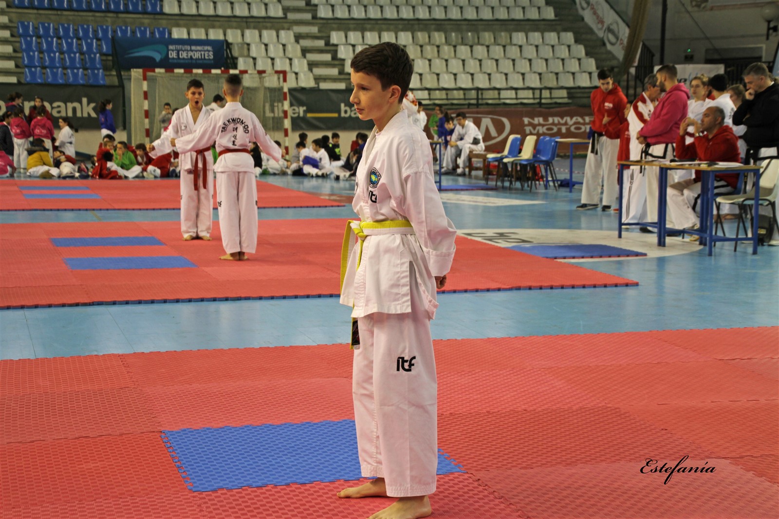 Taekwondo (193).jpg
